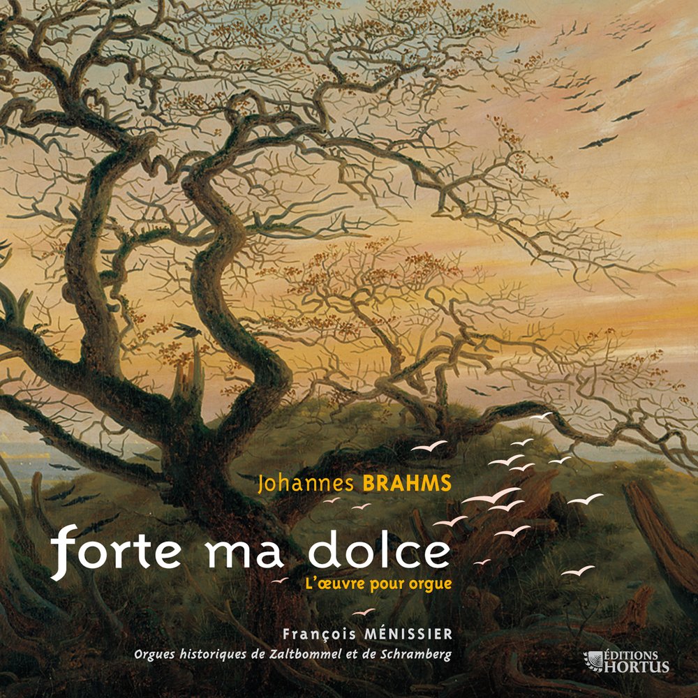 BRAHMS: Forte ma dolce (Complete Organ Works) - François Ménissier