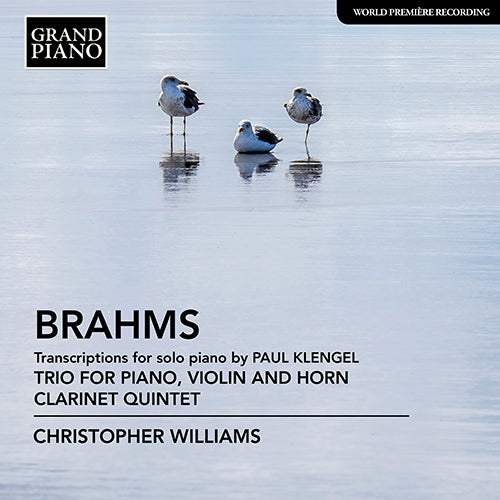 Brahms: Transcriptions for Piano (Trio for Violin, Horn and Piano • Clarinet Quintet, arr. P. Klengel for Piano) Christopher Williams