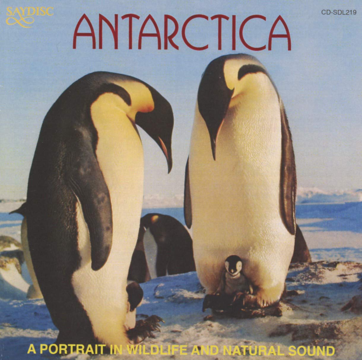 Antarctica - A Portrait in Wildlife (Natural Sound)