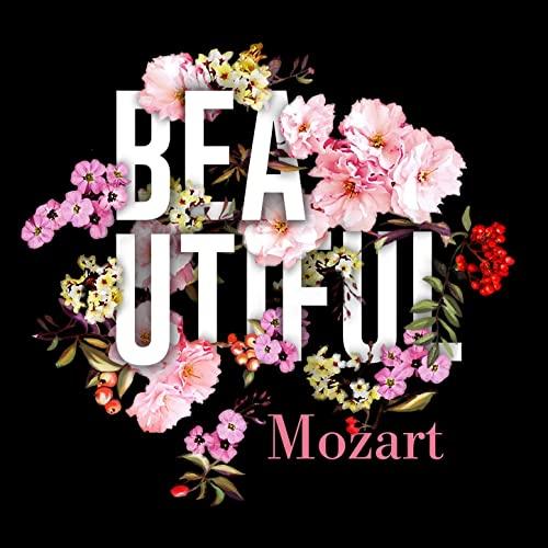 THE MOZART BUNDLE (16 CDs + FREE DOWNLOAD)
