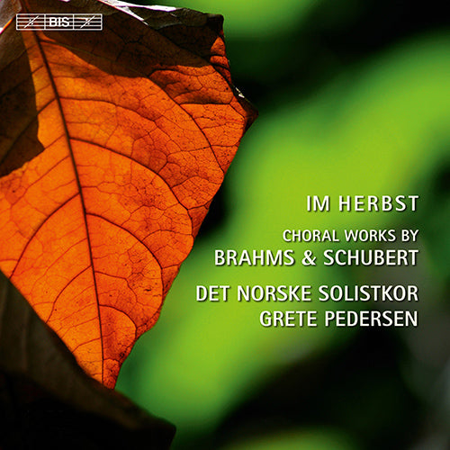 Im Herbst: Choral Works by Brahms & Schubert - Norwegian Soloists' Choir, Pedersen (Hybrid SACD)