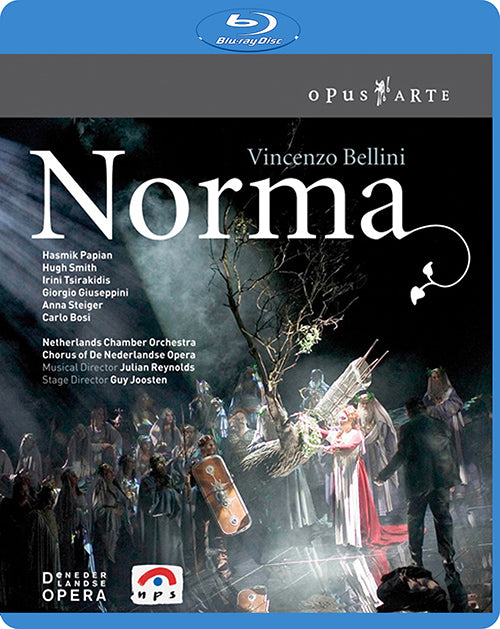 BELLINI: Norma - Netherlands Chamber Orchestra, Julian Reynolds (Blu-ray)