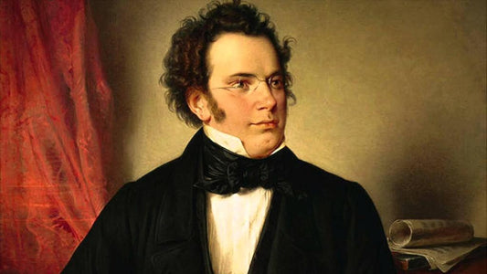 SCHUBERT LIEDER BUNDLE (18 CDS + 2 BONUS CDS)